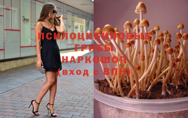 шишки Алексеевка