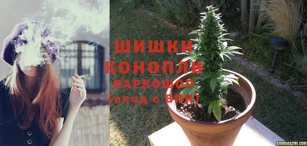 шишки Алексеевка