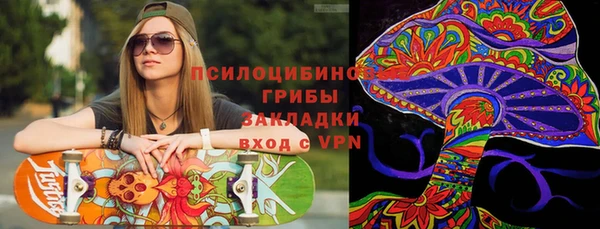 шишки Алексеевка