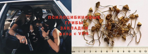 шишки Алексеевка