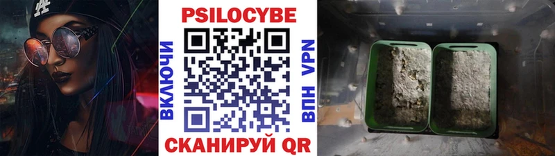 MEGA сайт  Харабали  Псилоцибиновые грибы мицелий 